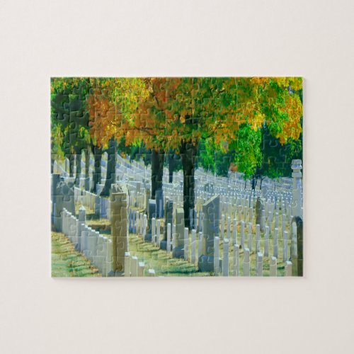 Washington Arlington Cemetery Jigsaw Puzzle