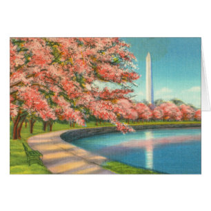 Washington Cards