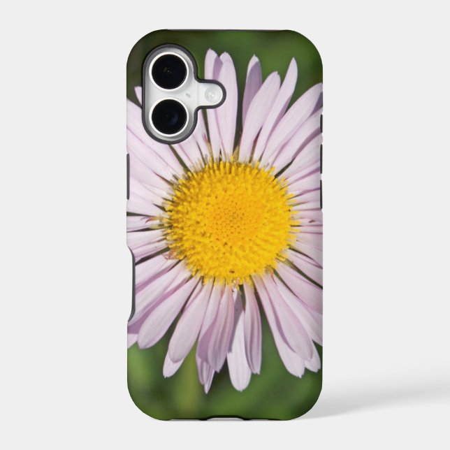 Washington, Cascade Range, Mount Baker Iphone Case (Back)