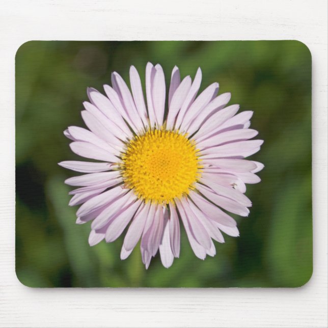 Washington, Cascade Range, Mount Baker Mouse Pad (Front)