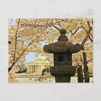 Washington Cherry Blossoms Postcard by debinSC at Zazzle