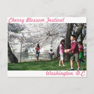 Washington, D.C. Cherry Blossom postcard
