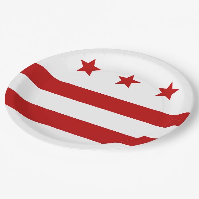 Washington D.C. city flag Paper Plates (Angled)