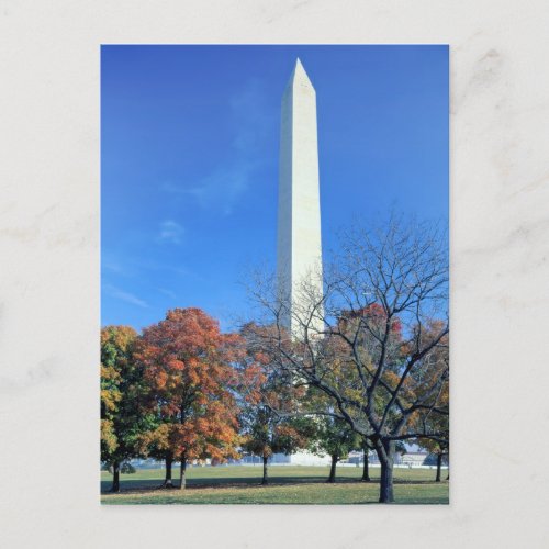 WASHINGTON DC USA Washington Monument rises Postcard