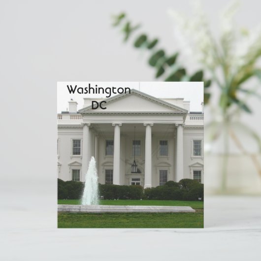 Washington DC (Standing Front)