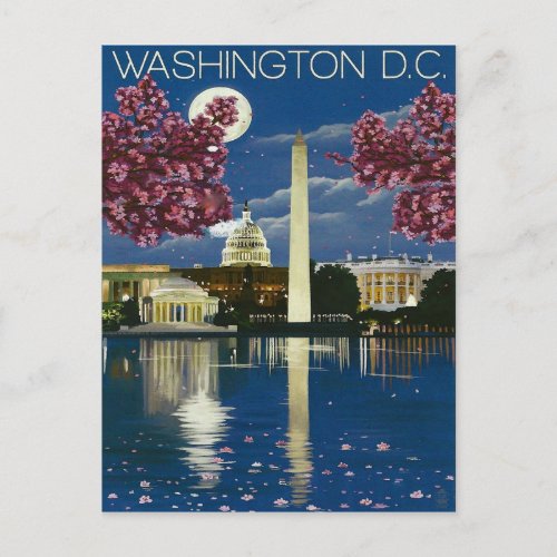 Washington DC at night white house spring Postcard