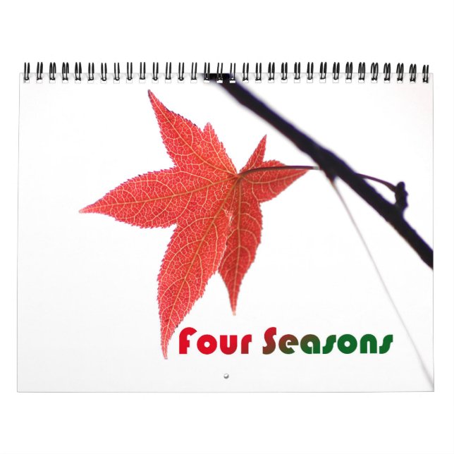 Washington DC Calendar (Cover)