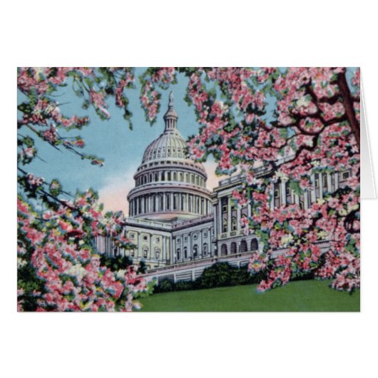 Washington DC Capitol Hill Cherry Blossoms Cards (Front Horizontal)