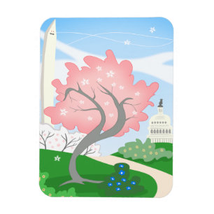 Washington DC Cherry Blossoms in Bloom Magnet