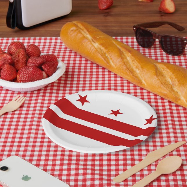 Washington DC Custom Paper Plates (Picnic)
