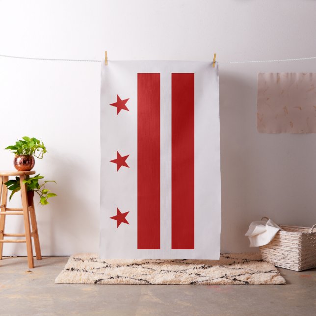 Washington DC flag Fabric (In Situ)