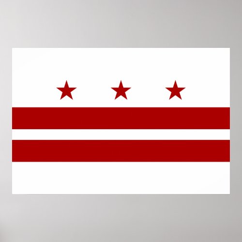 Washington DC Flag Poster