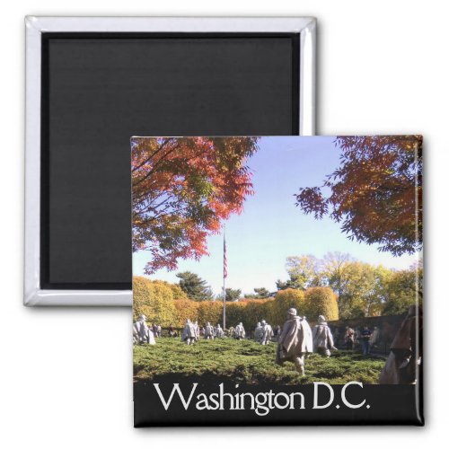 Washington DC Fridge Magnet