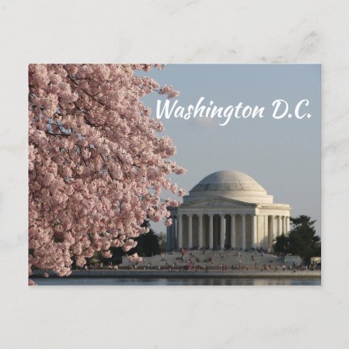 Washington DC in Spring Postcard