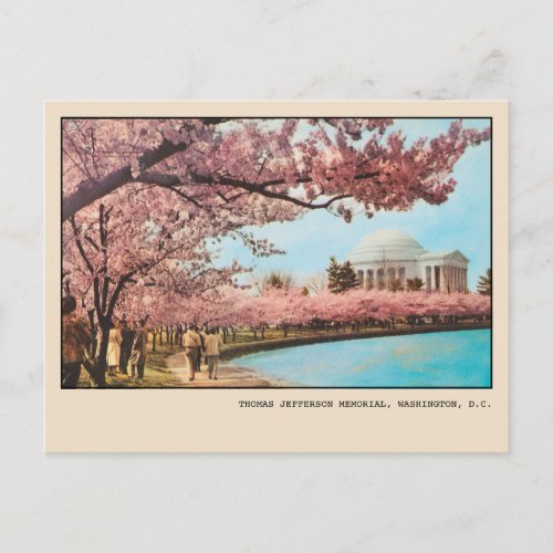Washington DC Jefferson Memorial Cherry Blossoms Postcard