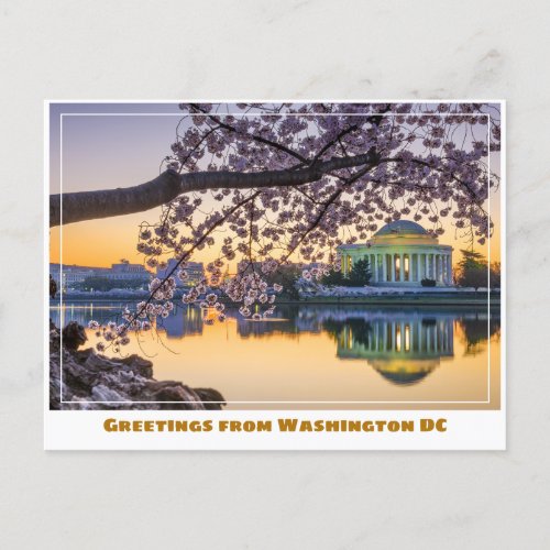 Washington DC Jefferson Memorial w Cherry Branch Postcard