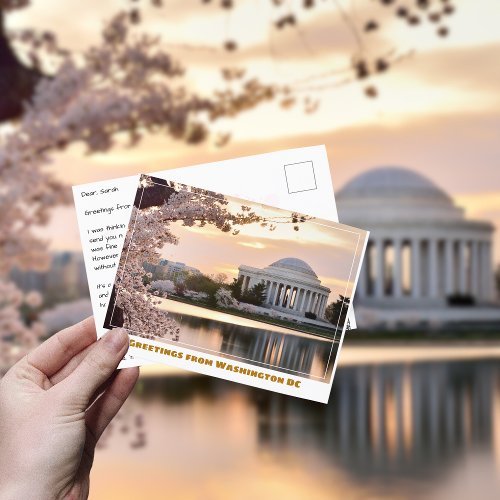 Washington DC Jefferson Memorial w Cherry Tree Postcard