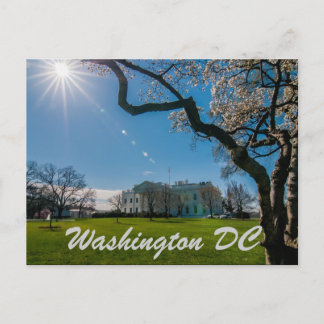 washington dc postcard