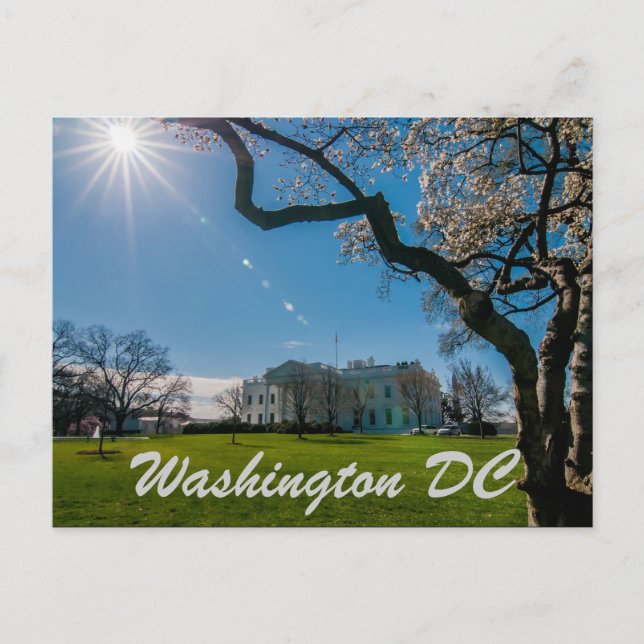 washington dc postcard (Front)