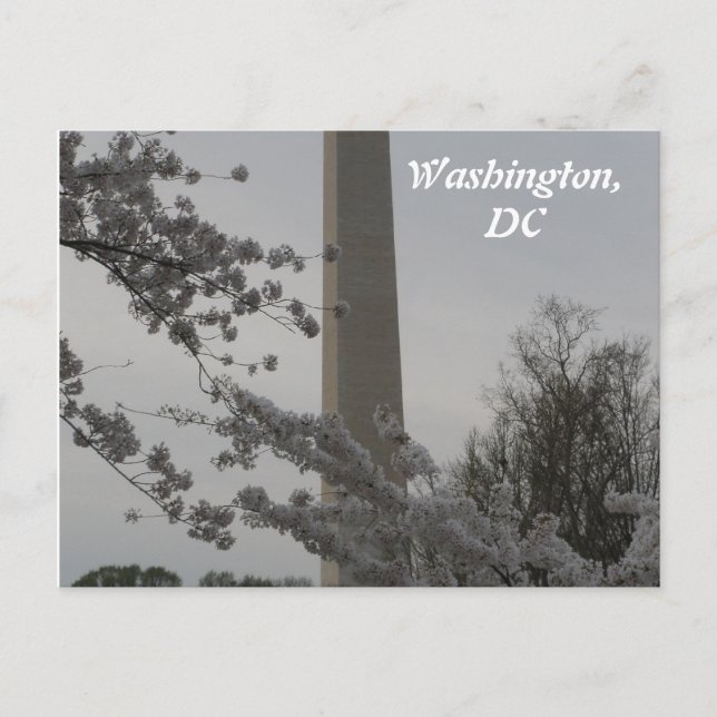 Washington, DC Postcard (Front)