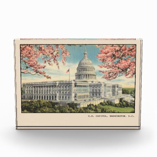 Washington DC Postcard US Capitol Cherry Blossoms Photo Block