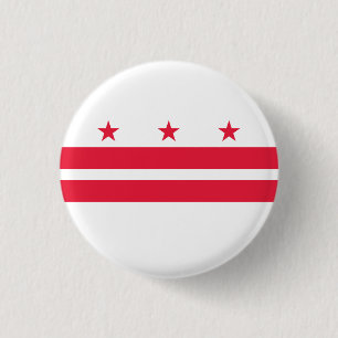 Washington DC State Flag Button