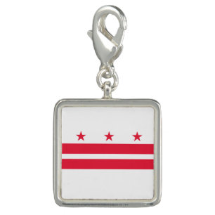Washington DC State Flag Charm
