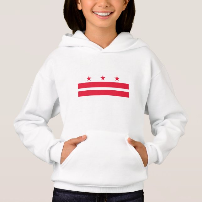 Washington DC State Flag Hoodie (Front)