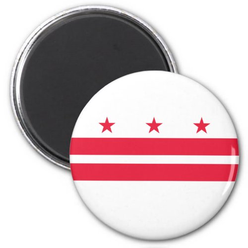 Washington DC State Flag Magnet