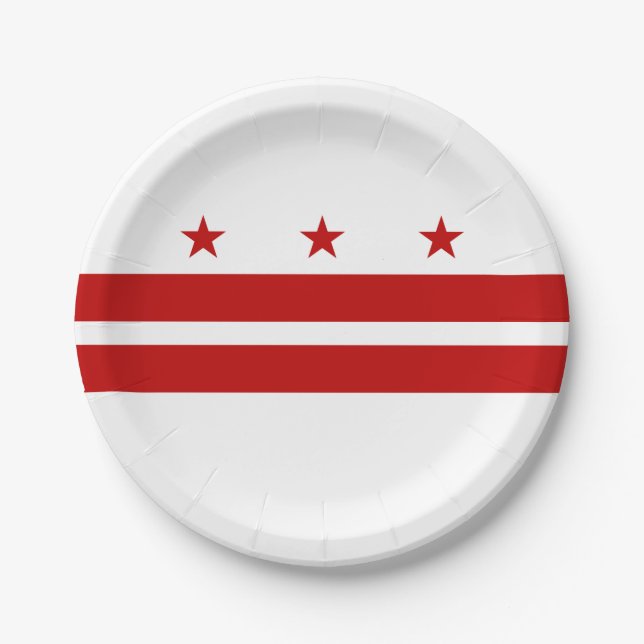Washington DC State Flag Paper Plates (Front)