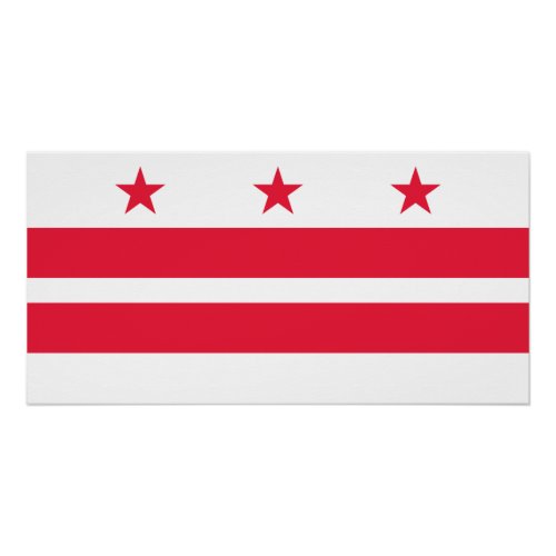 Washington DC State Flag Poster