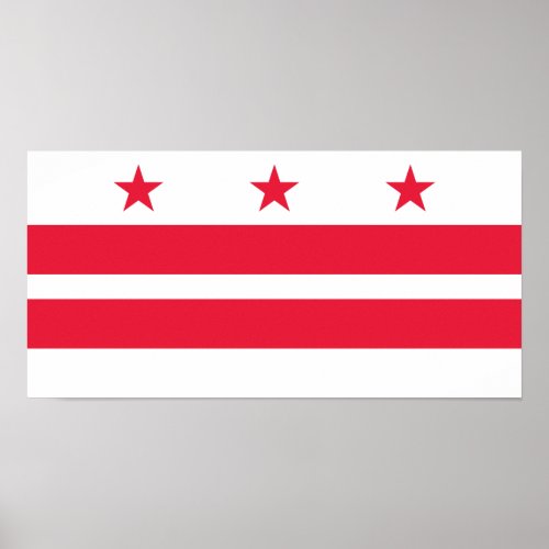 Washington DC State Flag Poster