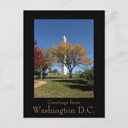 Washington DC Washington Monument Postcard