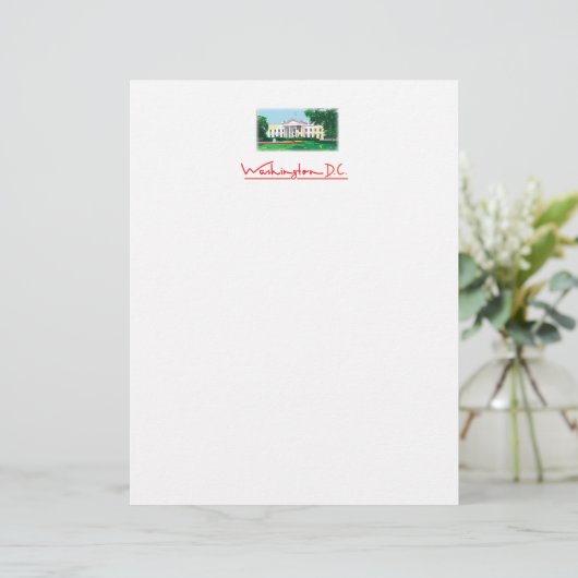 Washington DC - White House (Standing Front)