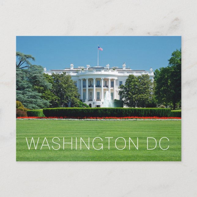 Washington DC White House Postcard (Front)