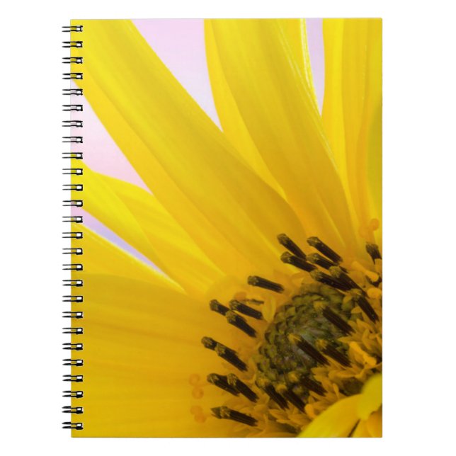 Washington. Detail of sunflower blossom 1 Notebook (Front)