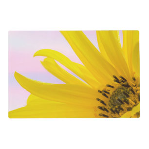 Washington. Detail of sunflower blossom 1 Placemat