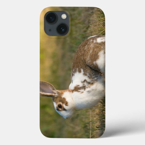 Washington Discovery Park Adult Rabbit iPhone 13 Case