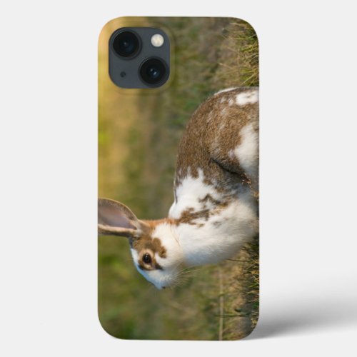 Washington Discovery Park Adult Rabbit iPhone 13 Case