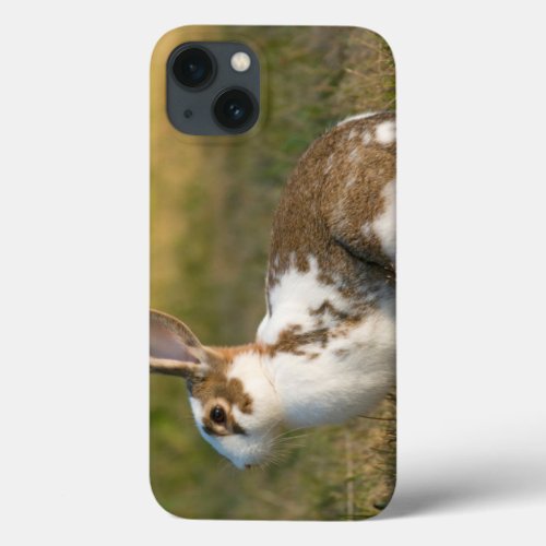 Washington Discovery Park Adult Rabbit iPhone 13 Case