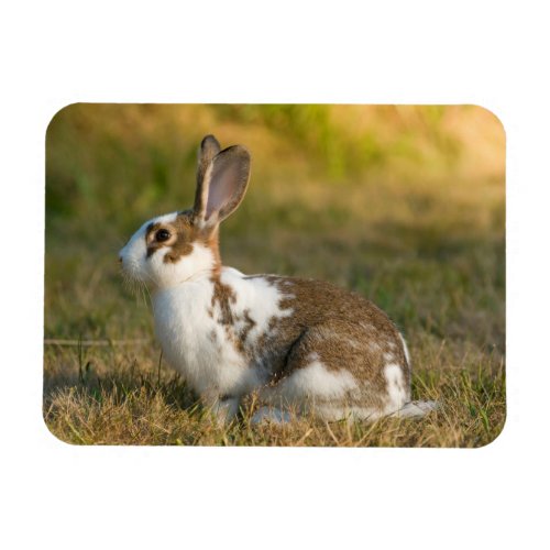 Washington Discovery Park Adult Rabbit Magnet