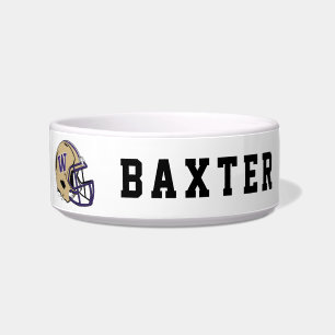 Washington Huskies Football Helmet Design Bowl
