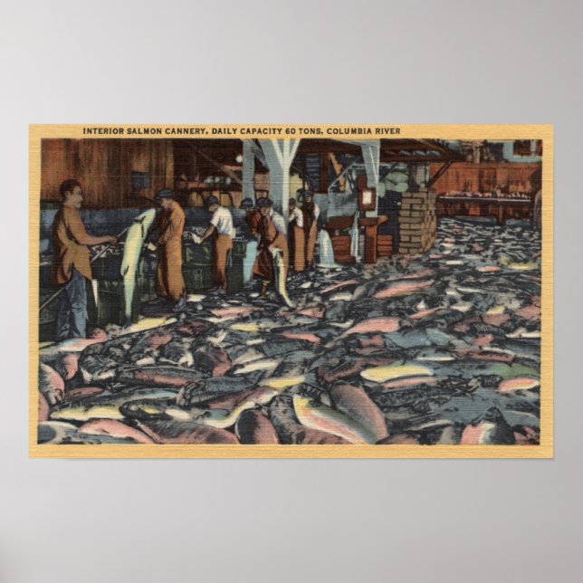 Washington - Interior View of a Salmon Poster (Front)