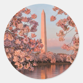 Washington Monument and Cherry Blossoms Sticker