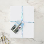 Washington Monument and WWII Memorial in DC Gift Tags