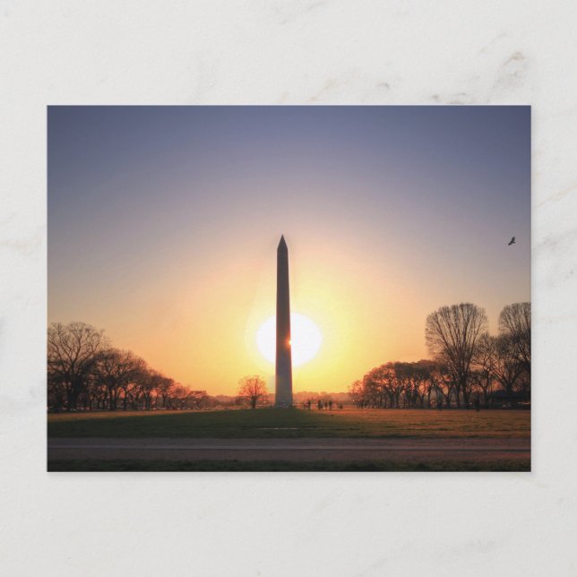 Washington Monument at Sunset Postcard (Front)