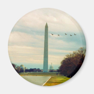 washington monument birds magnet