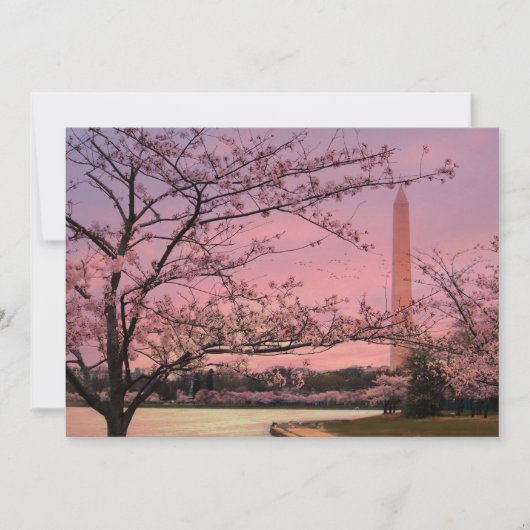 Washington Monument Cherry Blossom Festival (Front)