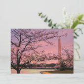 Washington Monument Cherry Blossom Festival (Standing Front)