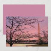 Washington Monument Cherry Blossom Festival (Front/Back)